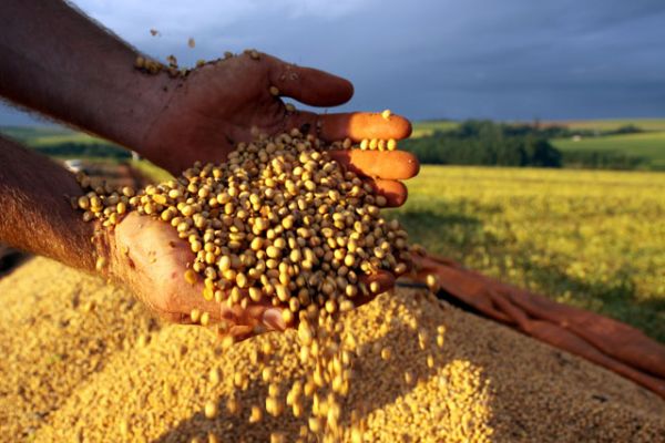 Produção agrícola deve ser a maior em 10 anos