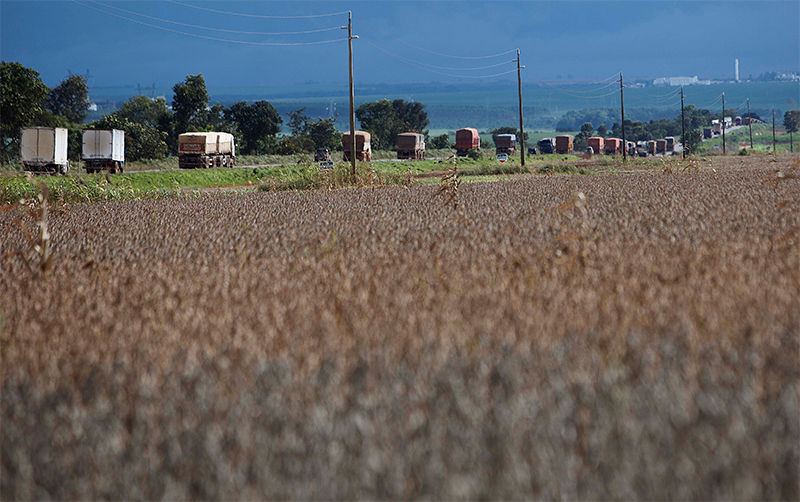 Infraestrutura ruim aumenta custo do transporte de soja e milho