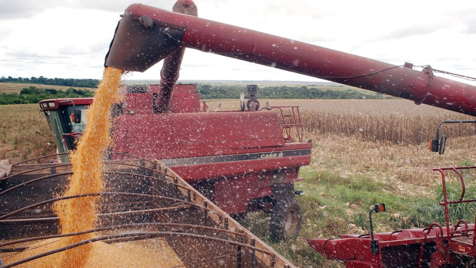 AGRICULTURA: Paraná estima colheita de 22,7 milhões de toneladas de grãos