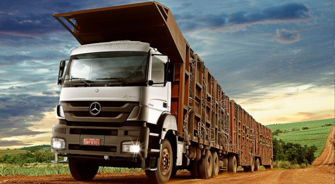 Inovações tecnológicas e serviços especializados são a aposta da Mercedes-Benz para o segmento de caminhões off-road
