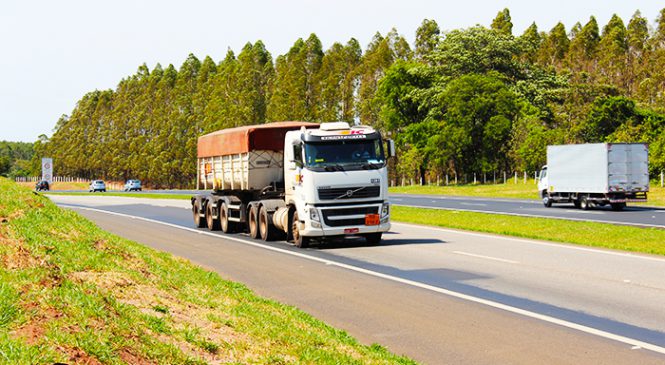 Fim de ano na estrada: 3 dicas para evitar acidentes de trânsito.