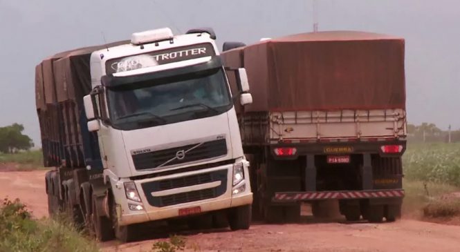 Produtores sofrem para escoar safra por estradas de chão no Sul do Piauí