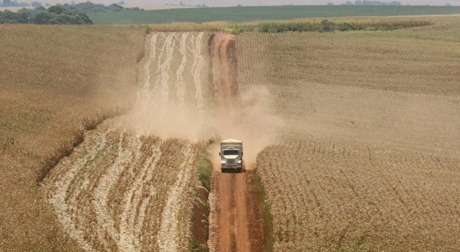 Ministra da Agricultura defende fim da tabela do frete rodoviário