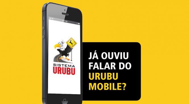 App ajuda na prevenção de acidentes em rodovias envolvendo animais silvestres