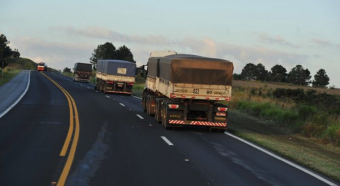 Não há excesso, mas falta de caminhão no Brasil