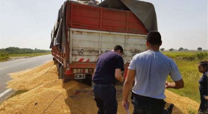 Transportadores de grãos realizam greve violenta na Argentina