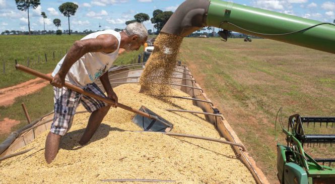 Na rota da soja, caos logístico continua, mas muda de lugar em 2018