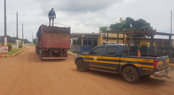 PRF flagra caminhoneiros transportando madeira sem documentação na BR-010