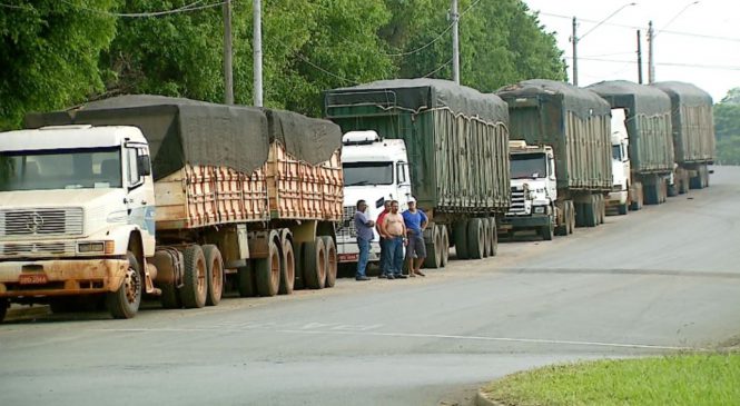 Pesquisa da USP traça perfil de caminhoneiros; renda e escolaridade continuam baixas após leis da categoria