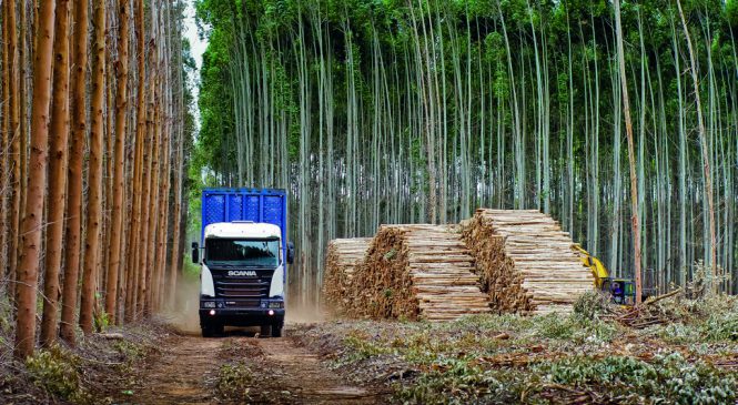 Scania leva à Expoforest as melhores soluções de transporte para o segmento madeireiro