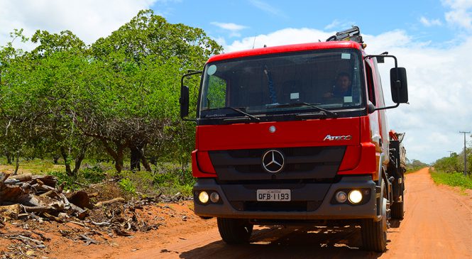 Caminhão Atego se destaca nos serviços de eletrificação no Nordeste