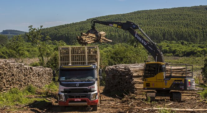 Volvo mostra na Expoforest seus caminhões, máquinas e tecnologia para aplicações no segmento florestal