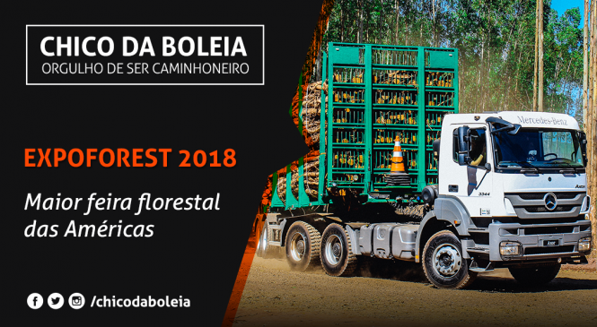 [VÍDEO] ExpoForest 2018