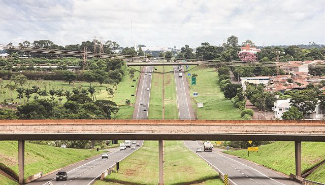 Feriado prolongado movimenta rodovias e termina sem acidente fatal