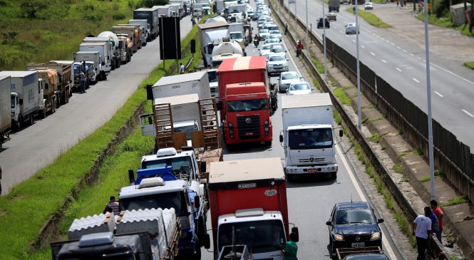 Conab diz que ainda não conseguiu contratar caminhoneiros autônomos