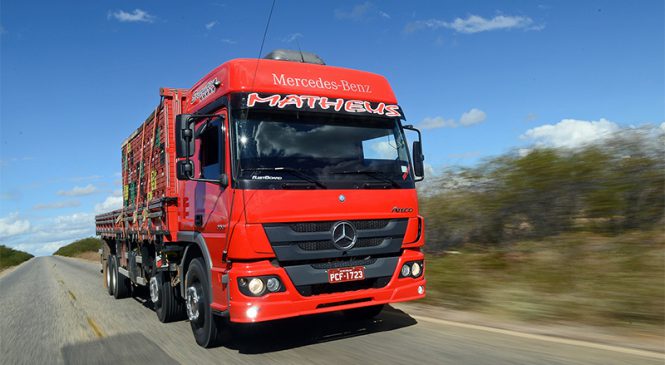 Agilidade e conforto do Atego conquistam aprovação no transporte de frutas em Petrolina