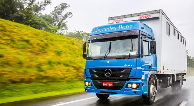 Caminhões Atego transportam 40 cavalos da jovem equipe de salto que representará o Brasil no Chile