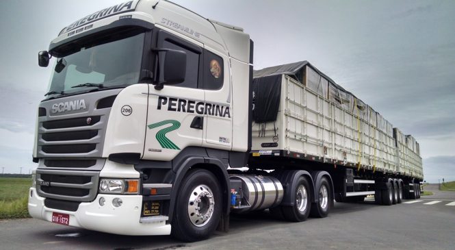 Transportadora Peregrina compra 22 conjuntos de implementos