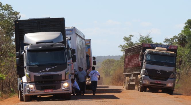 Força conjunta garantirá escoamento da safra por meio da BR-163, no Pará