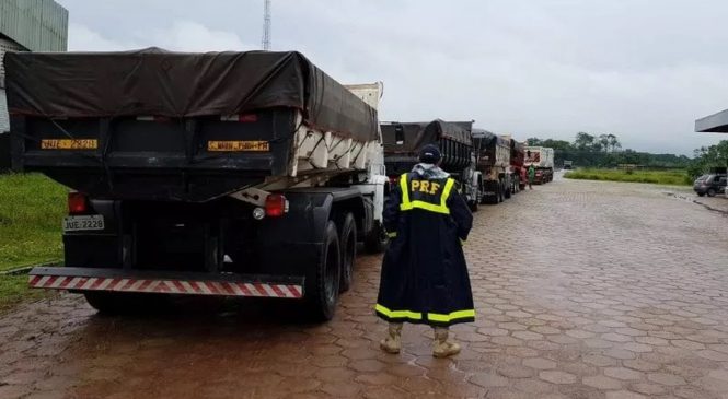 Caminhoneiro é multado em R$ 11 mil por transportar excesso de carga nas rodovias federais do Pará