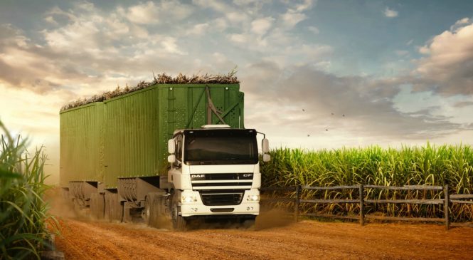 DAF Caminhões marca presença na 26ª Agrishow.