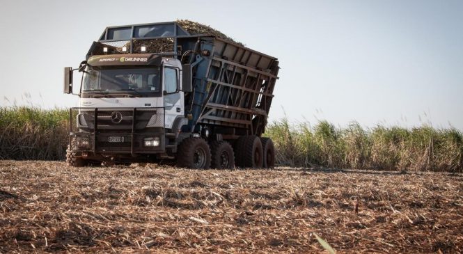 Caminhão Axor de direção autônoma para transbordo de cana será destaque na Agrishow 2019.