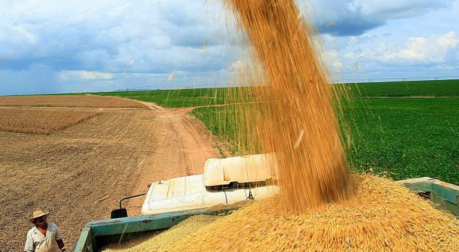 Safra recorde de grãos deve chegar a 240,7 milhões de toneladas