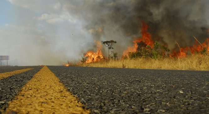 Queimadas exigem maior atenção nas estradas