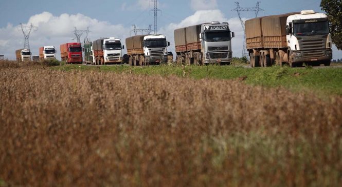 Agronegócio puxa alta nas vendas de caminhões