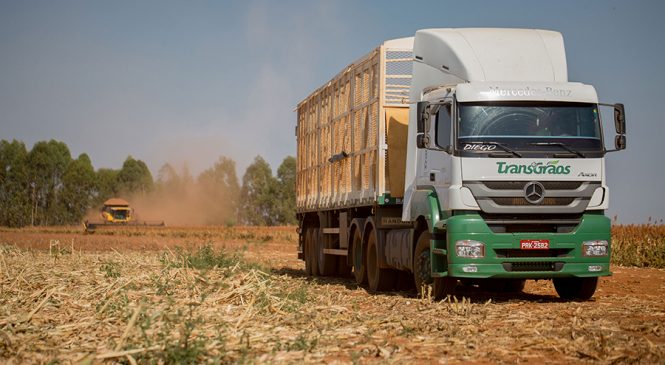 Transgrãos compra 120 caminhões Axor para transporte de milho em espiga