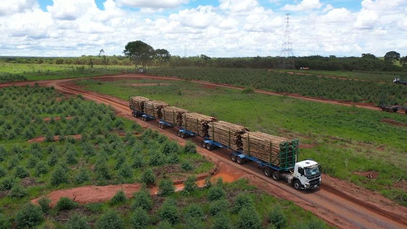 CARRETA LIMÃO DOCE EM SUZANO - PARTE lll 