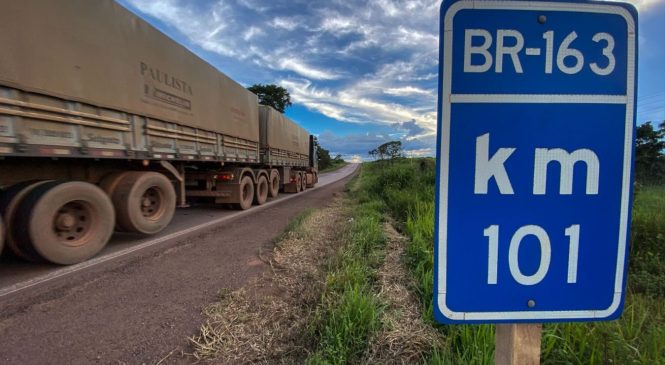 Pavimentação da BR-163 no Pará duplicará transporte de grãos em 5 anos, dizem exportadores