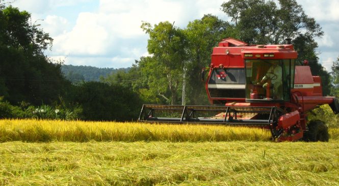 Safra colhida no verão vai manter setor de transportes de cargas até junho