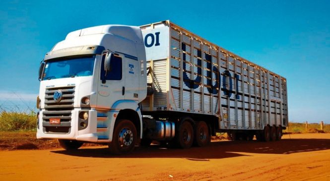 Empresa desenvolve ‘Uber’ para transporte de gado no país