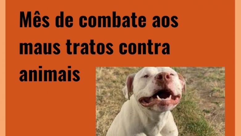 Abril Laranja: mês de combate aos maus tratos contra animais