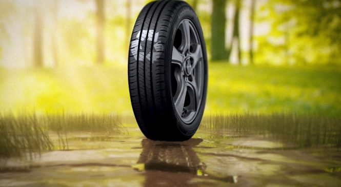 Dunlop reforça compromisso com preservação do meio ambiente