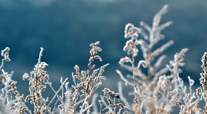 Fake News sobre nova onda de frio causa confusão entre brasileiros