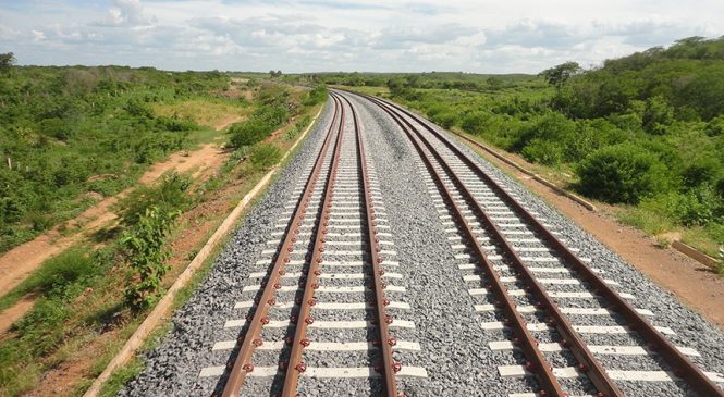 Senado aprova novo marco legal das ferrovias