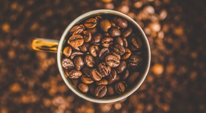 Especialista em exportação de café destaca dificuldades após recente alta nos combustíveis