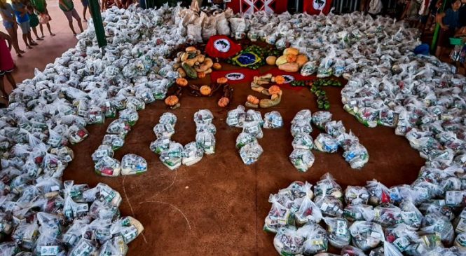 MST estima distribuir mil toneladas de alimentos até quinta-feira (06)