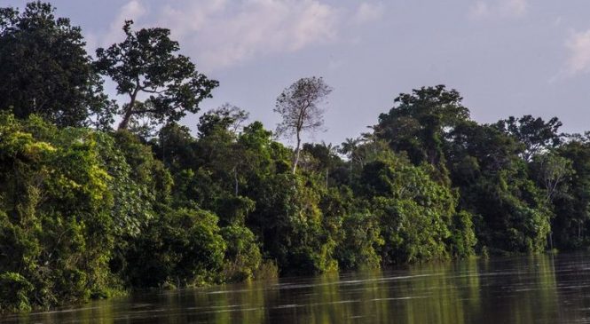 Jornalistas inglês e indigenista desaparecem no Amazonas