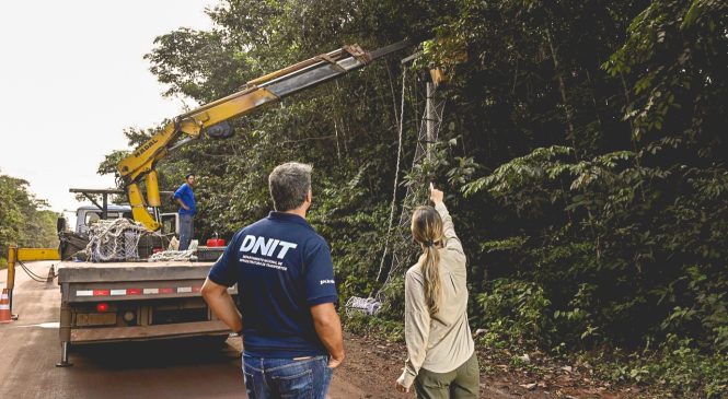 Parceria vai fortalecer preservação de fauna e flora nas imediações de rodovias