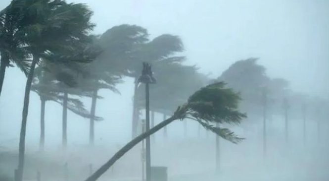Passagem de ciclone extratropical provoca interdição de rodovias no Sul do país