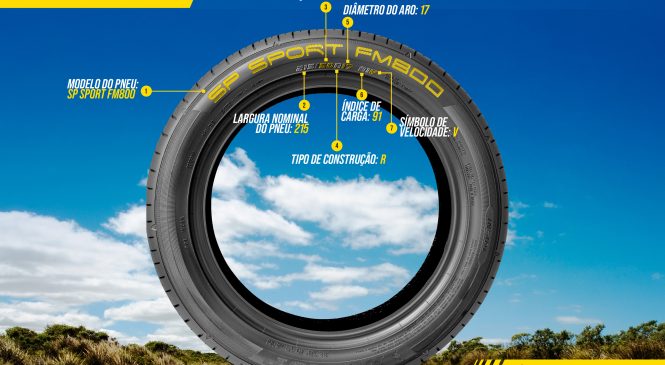 Desvendando os segredos dos pneus: Dunlop compartilha dicas para escolher o modelo certo
