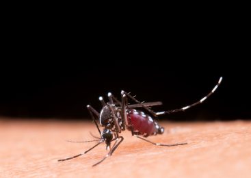 Ministério da Saúde amplia público-alvo da vacinação contra a dengue