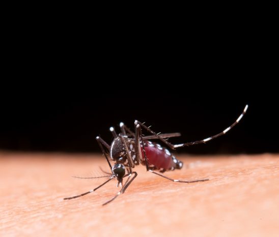 Ministério da Saúde amplia público-alvo da vacinação contra a dengue