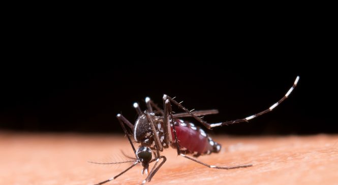 Ministério da Saúde amplia público-alvo da vacinação contra a dengue