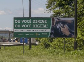 Maio Amarelo: Arteris revela quem são as principais vítimas de atropelamentos nas rodovias