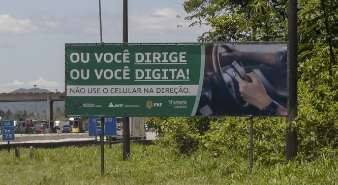 Maio Amarelo: Arteris revela quem são as principais vítimas de atropelamentos nas rodovias