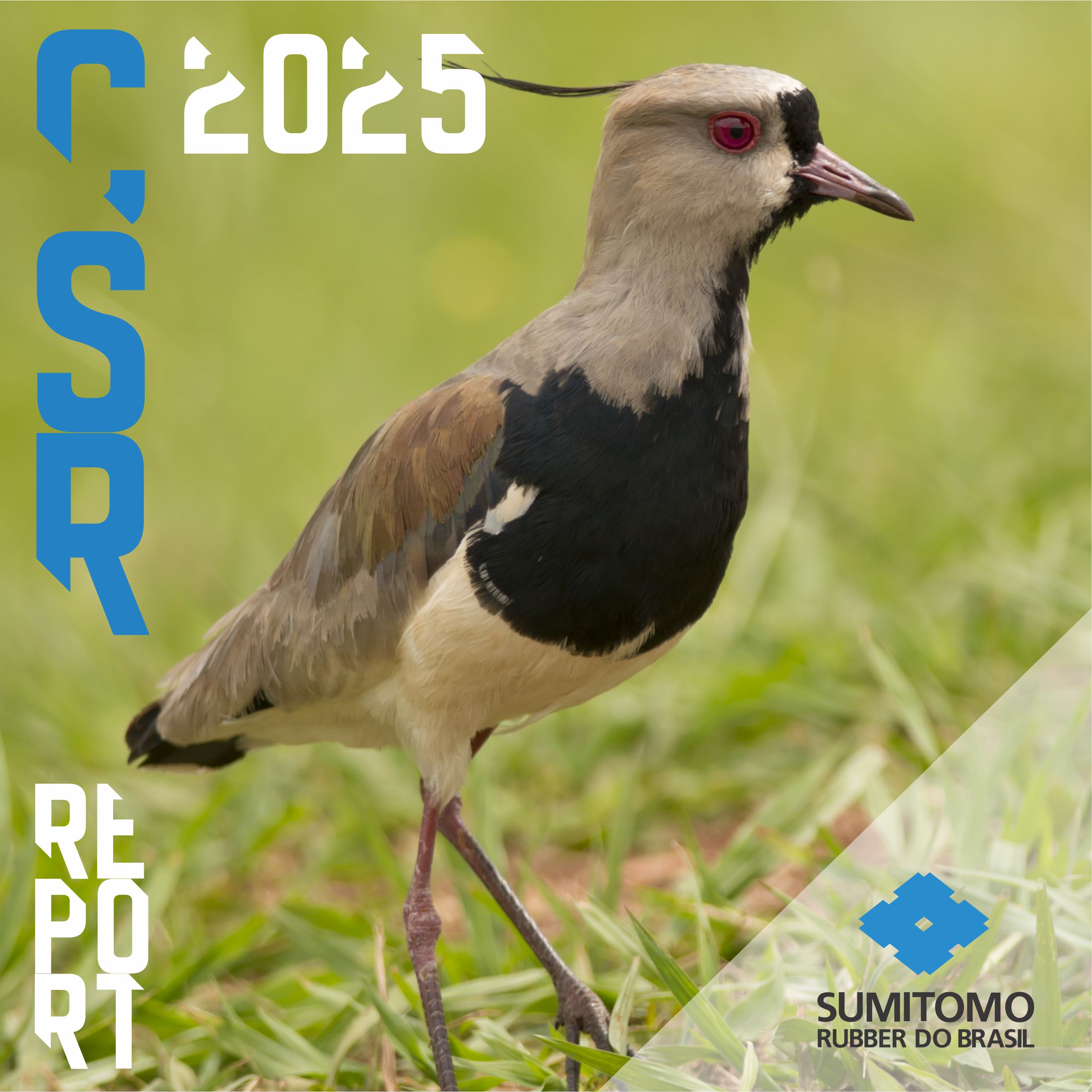 Sumitomo Rubber divulga relatório com os principais resultados sociais e ambientais de 2024